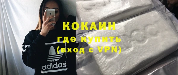 дживик Надым