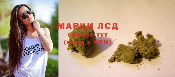 гидра Наволоки