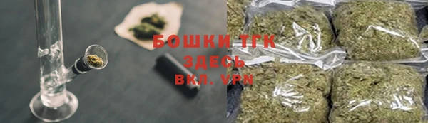 дживик Надым
