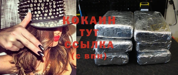 дживик Надым