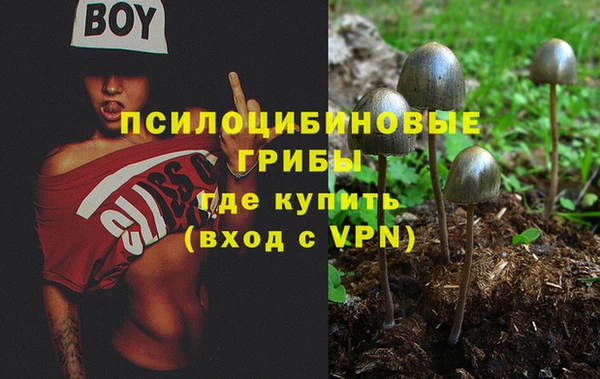 дживик Надым