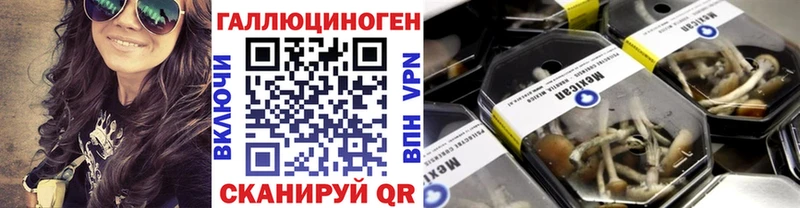 Псилоцибиновые грибы ЛСД  Новопавловск 