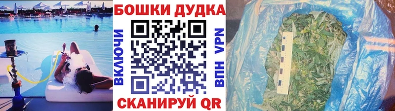 Бошки марихуана планчик  купить наркотик  Новопавловск 